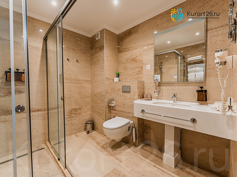  Санаторий &laquo;Елизавета&mdash;Минеральные Воды&raquo;, г. Железноводск. Номера